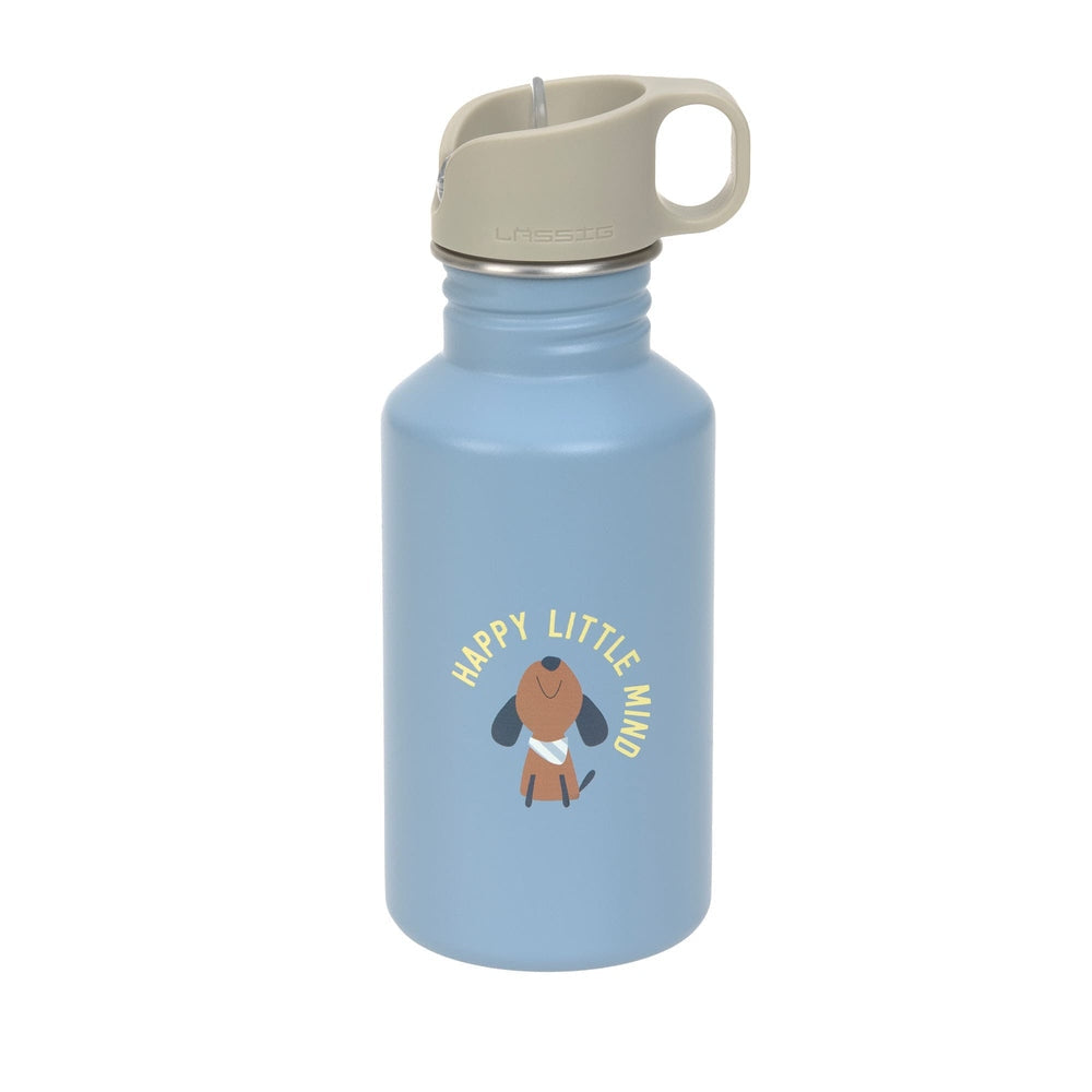 Lässig Drinkfles RVS Party (500 Ml) - Blue/Green