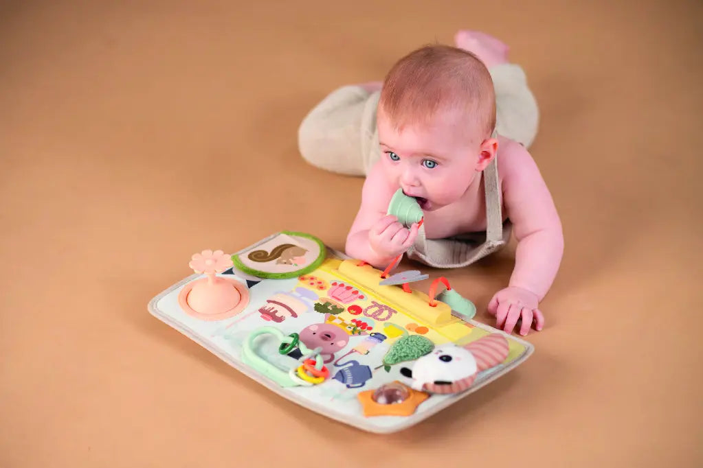 Taf Toys Peek, Pop & Play Station