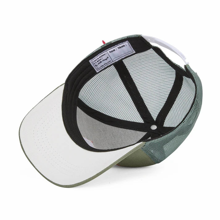 Hello Hossy Skaterpet Mini Olive Pet