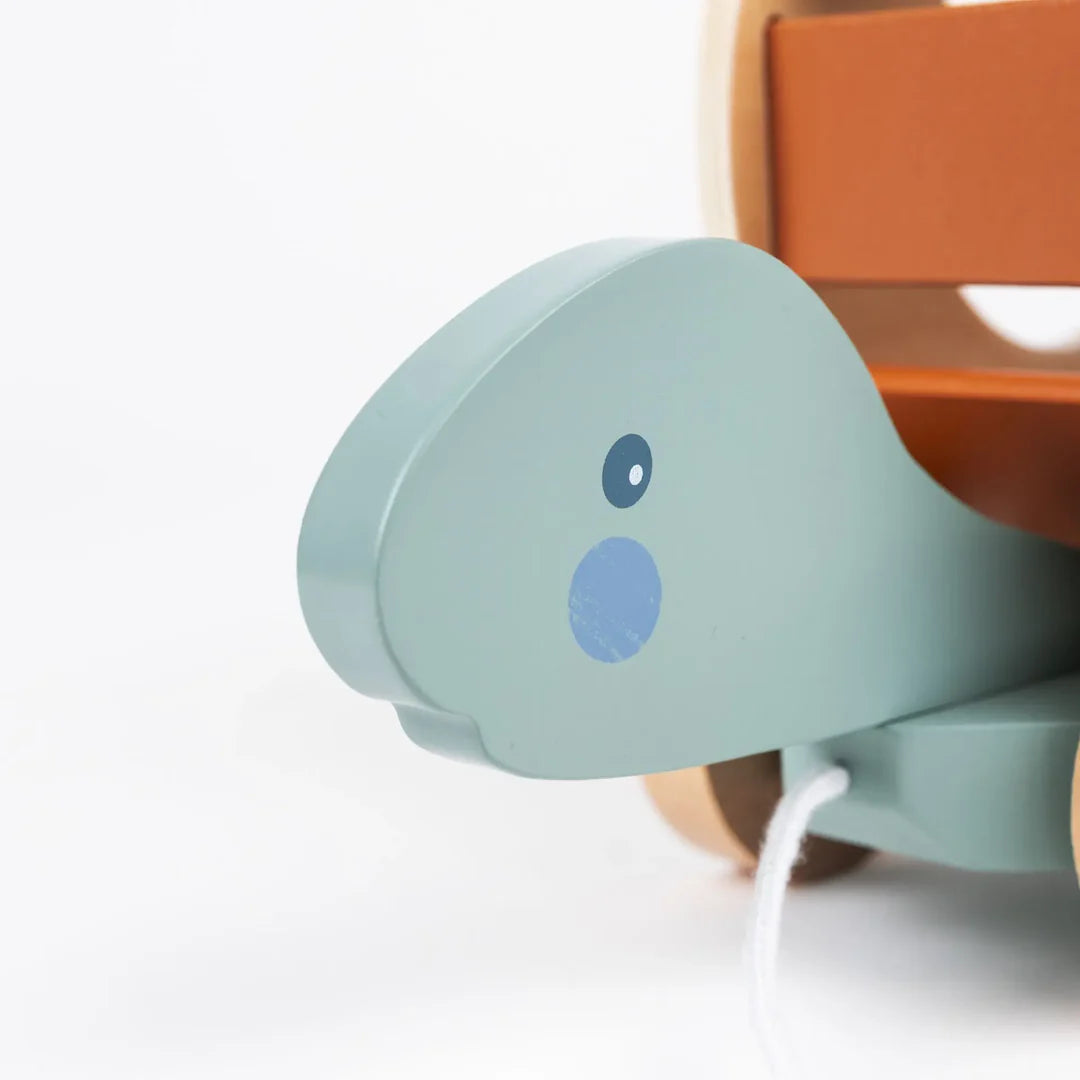 Egmont Toys Trekschildpad En Vormenspel