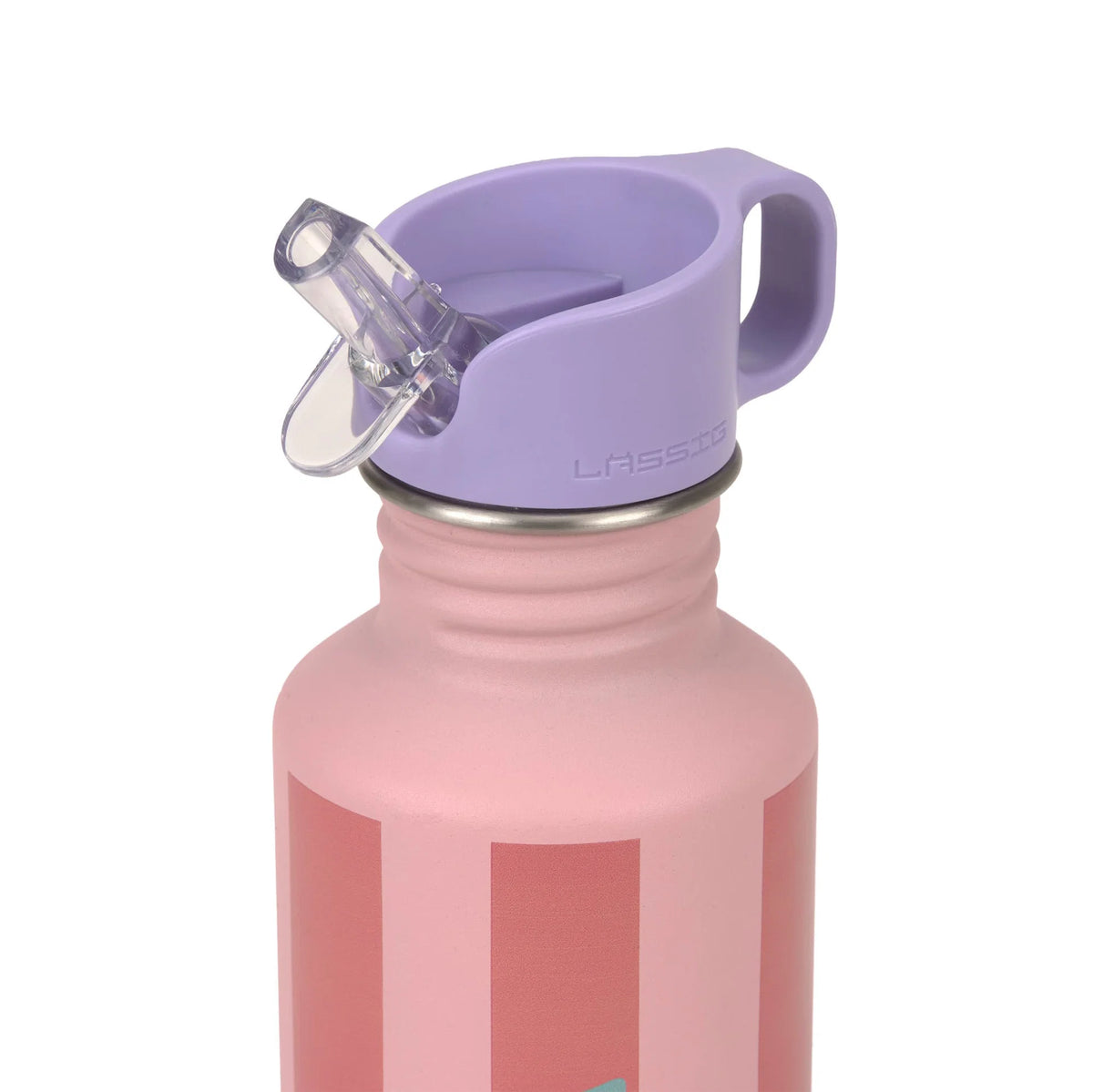 Lässig Drinkfles Stainless Steel 500ml - Unique Stripes Fruits