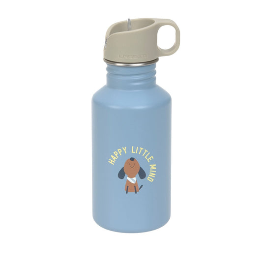 Lässig Drinkfles RVS Party 500 Ml - Blue/Green