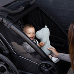 Thule Chariot Sport 2 - Double