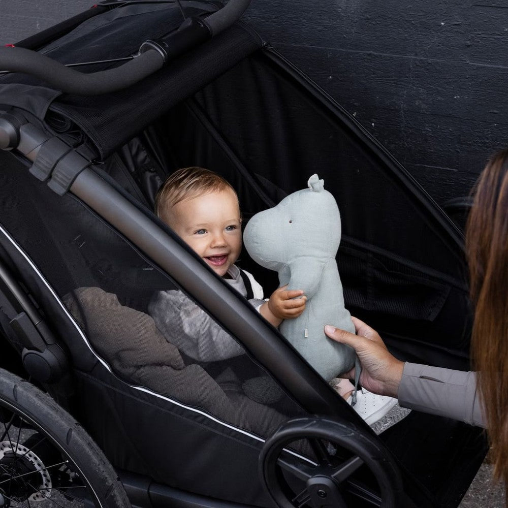 Thule Chariot Sport 2 - Double