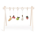 Quax Activity Set - Fruit 5 stuks