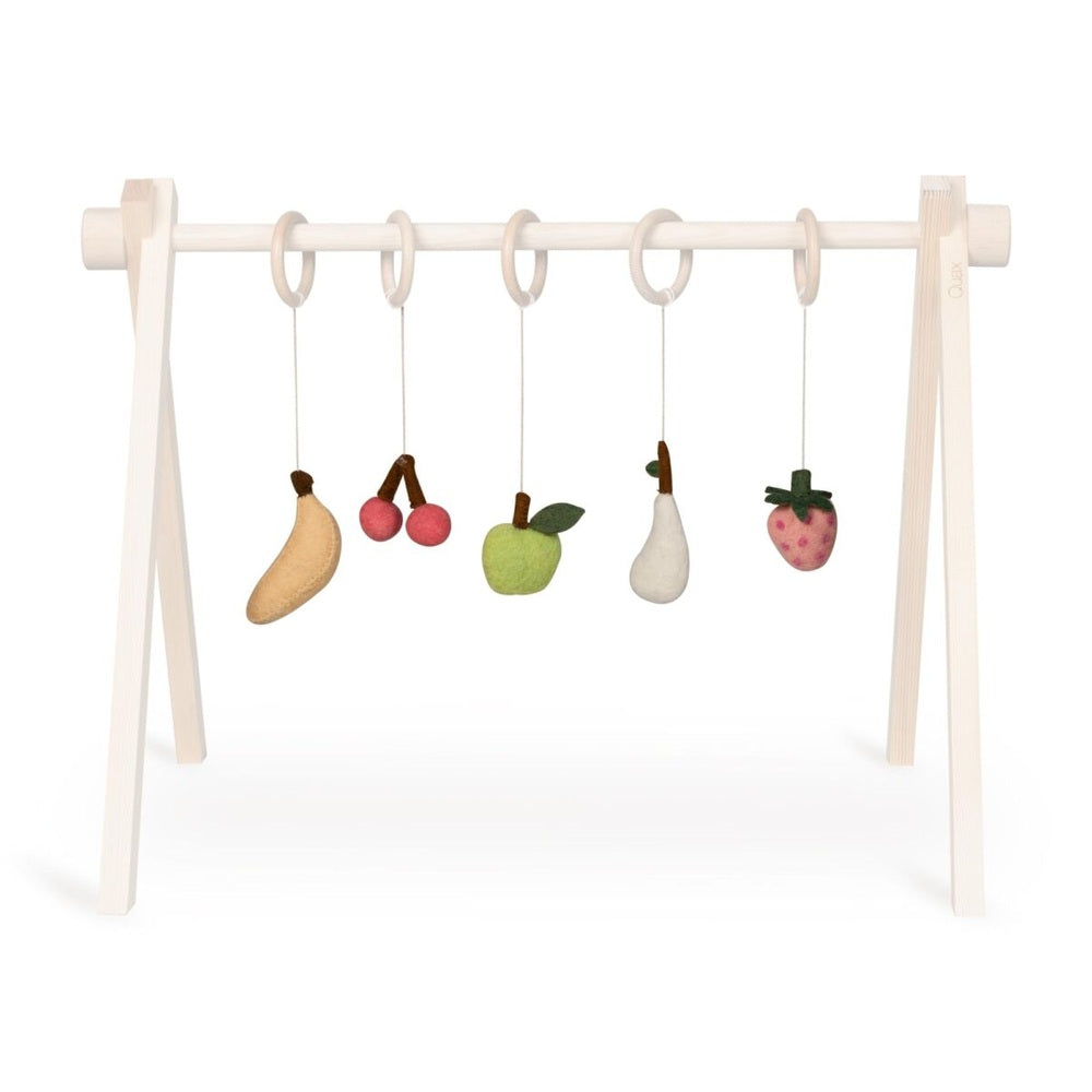 Quax Activity Set - Fruit 5 stuks