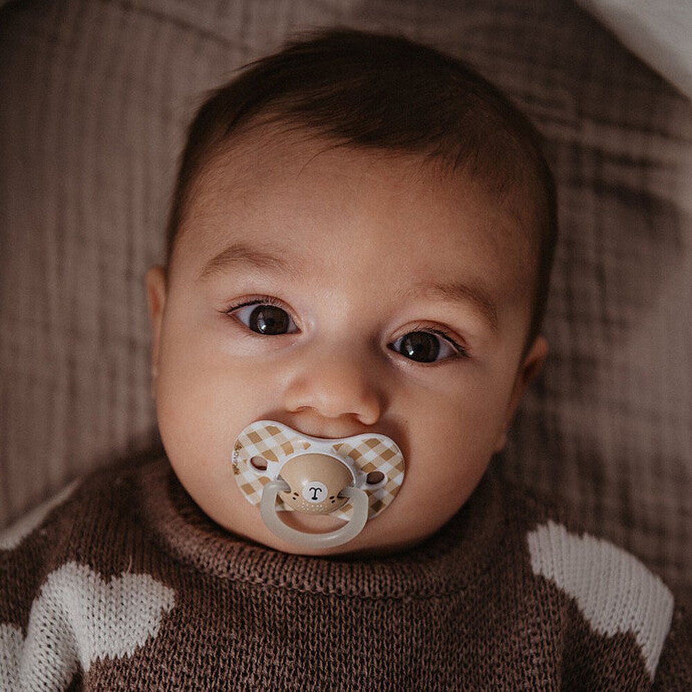 Suavinex Fopspenen Night & Day 2st - SX Pro