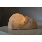 Flow Amsterdam George Nachtlampje Bjorn - Projector