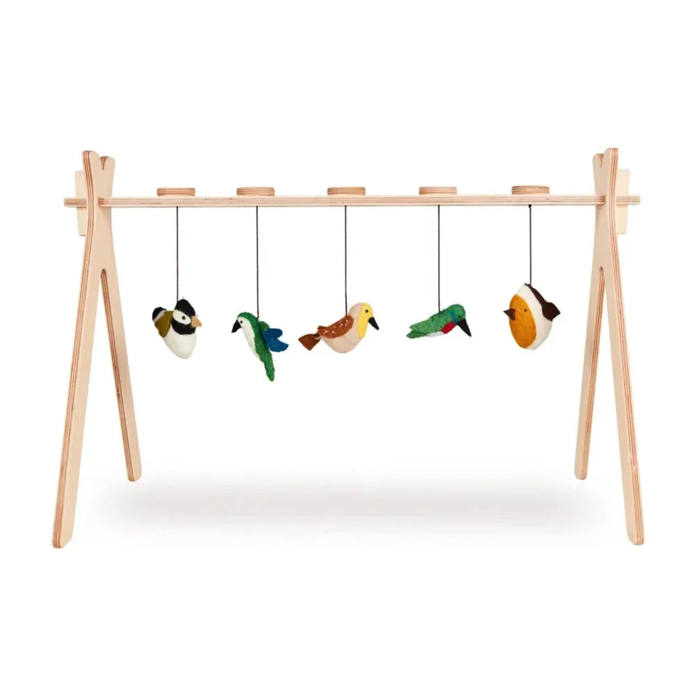 Quax Activity Set - Vogeltjes 5 stuks