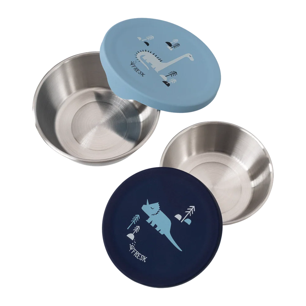 Fresk Roestvrije Snackbox 2st - Dino