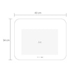 Placemat/Tafelmat voor Kinderen - Little Wheels
