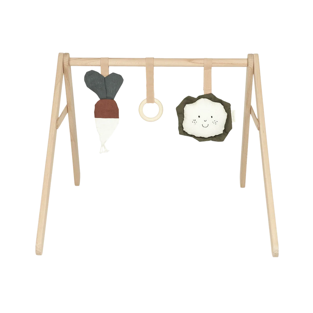 Nobodinoz Baby Gym Hangers en Sensorisch Speelgoed voor Kinderwagenbeugel