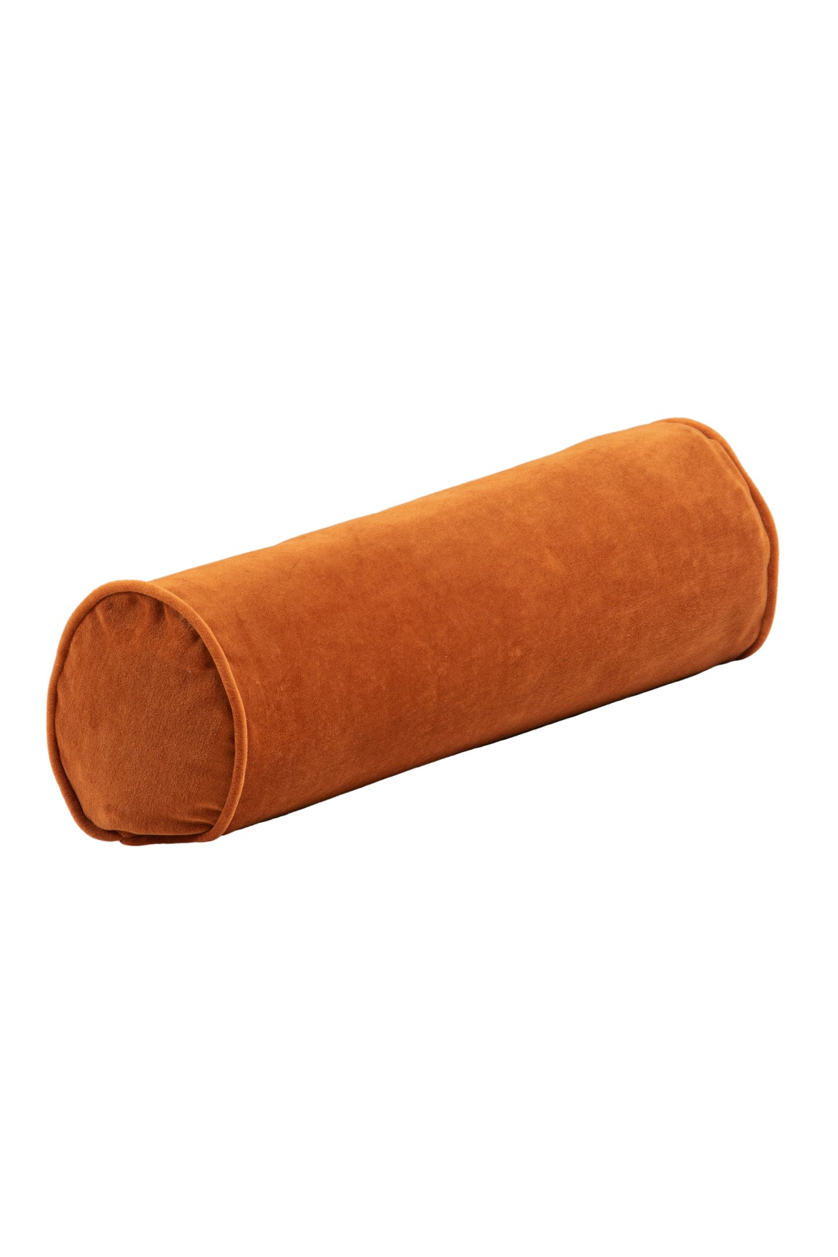 Cinnamon Roll Cushion